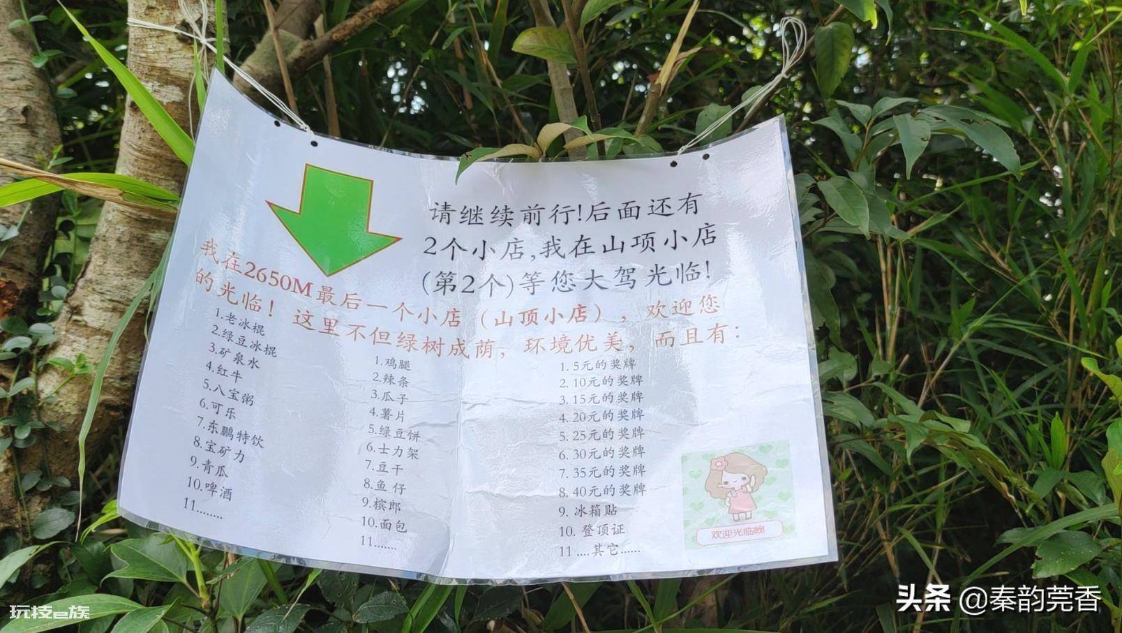 东莞第一高峰是什么山(分享登顶银瓶山的爬山攻略)-图片10